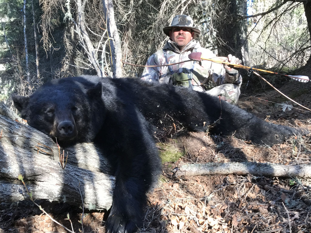 Alberta Canada Black Bear Hunts