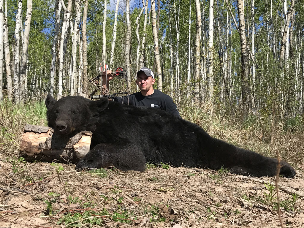 Canada Black Bear Hunting