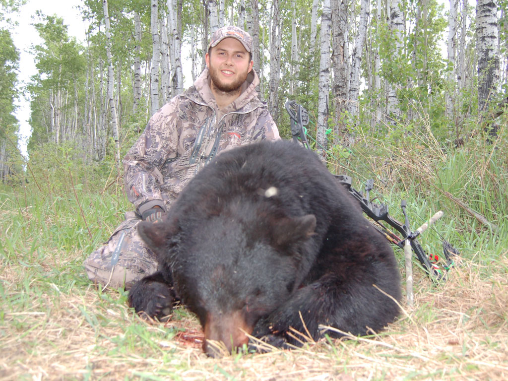 Canada black bear hunting