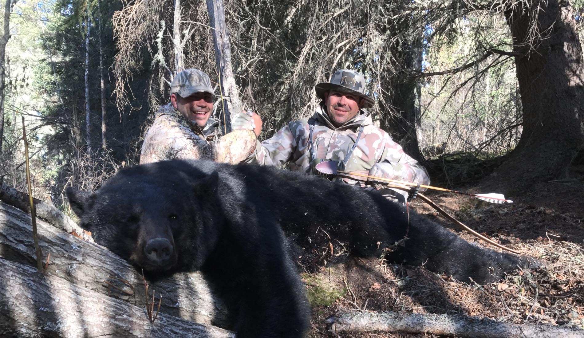 black bear hunting outfitters