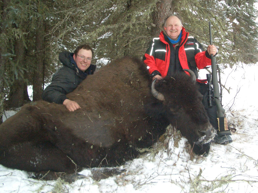 alberta bison hunts