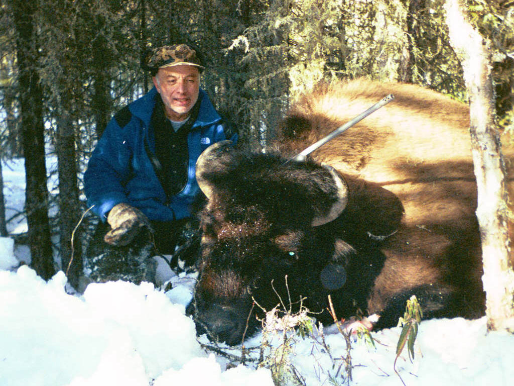 alberta canada bison hunts