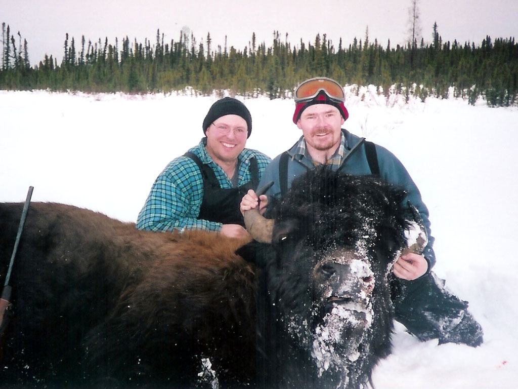 canada bison hunting