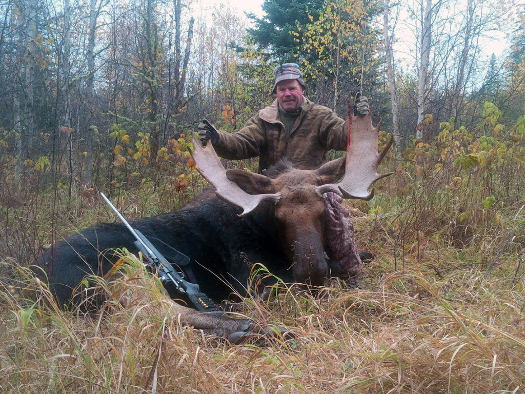 alberta moose hunts