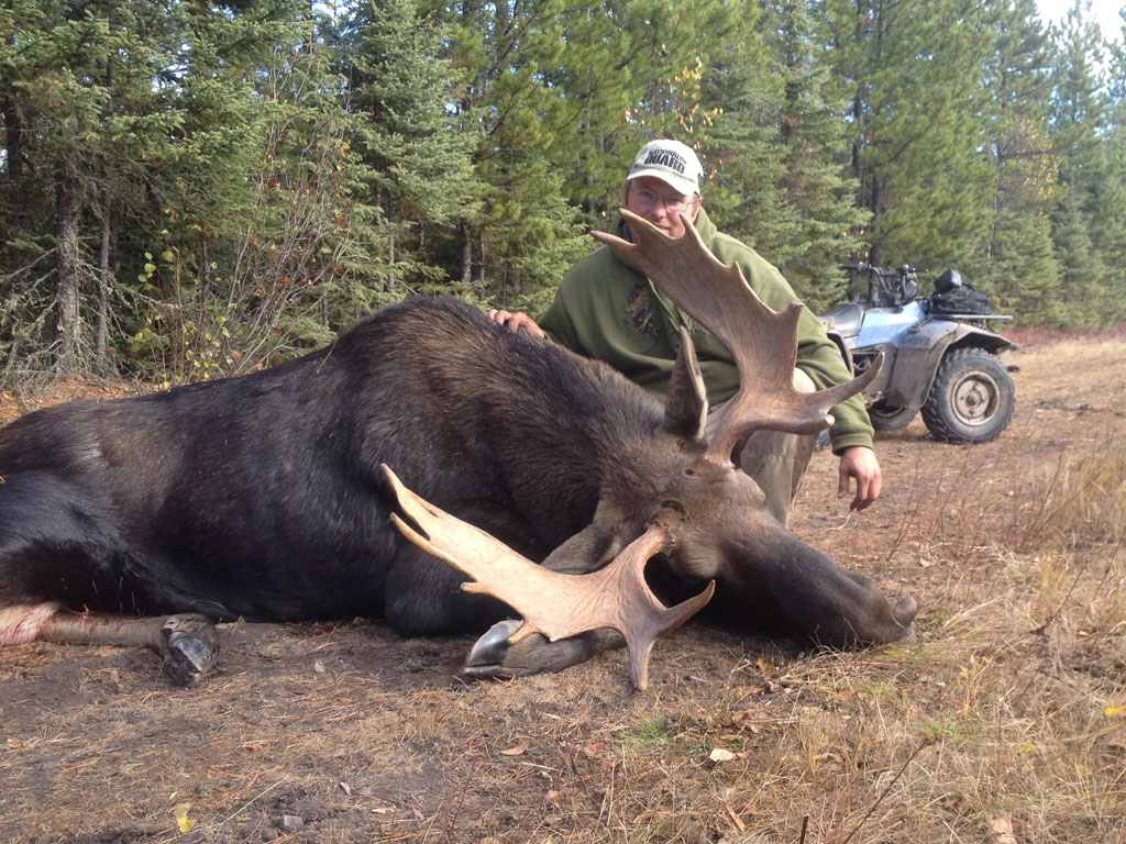 moose rut hunts canada