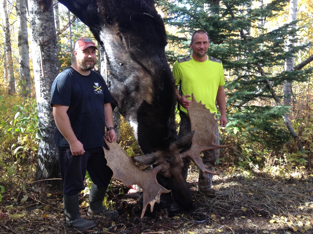 moose hunting alberta canada