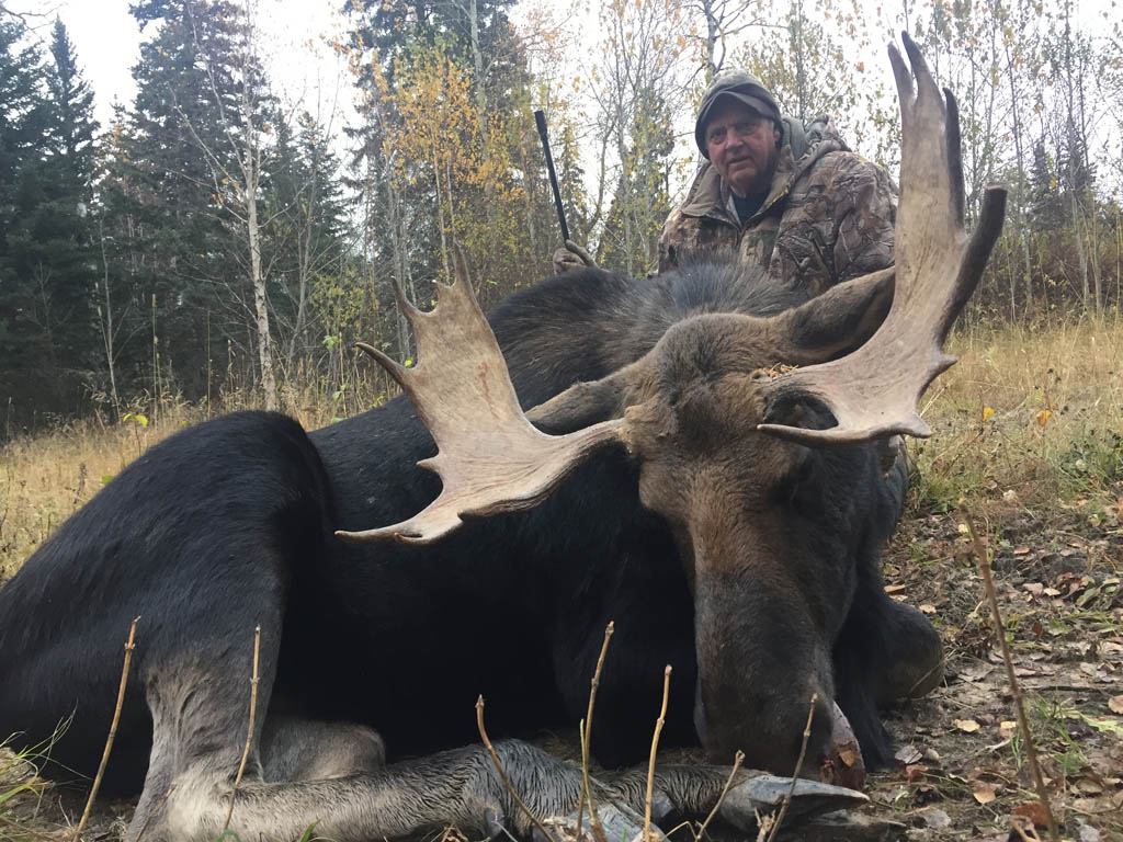 moose rut hunts in canada