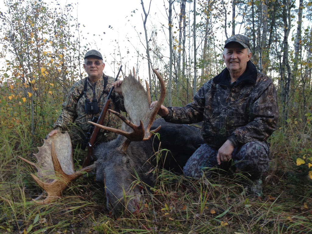 canada moose hunting